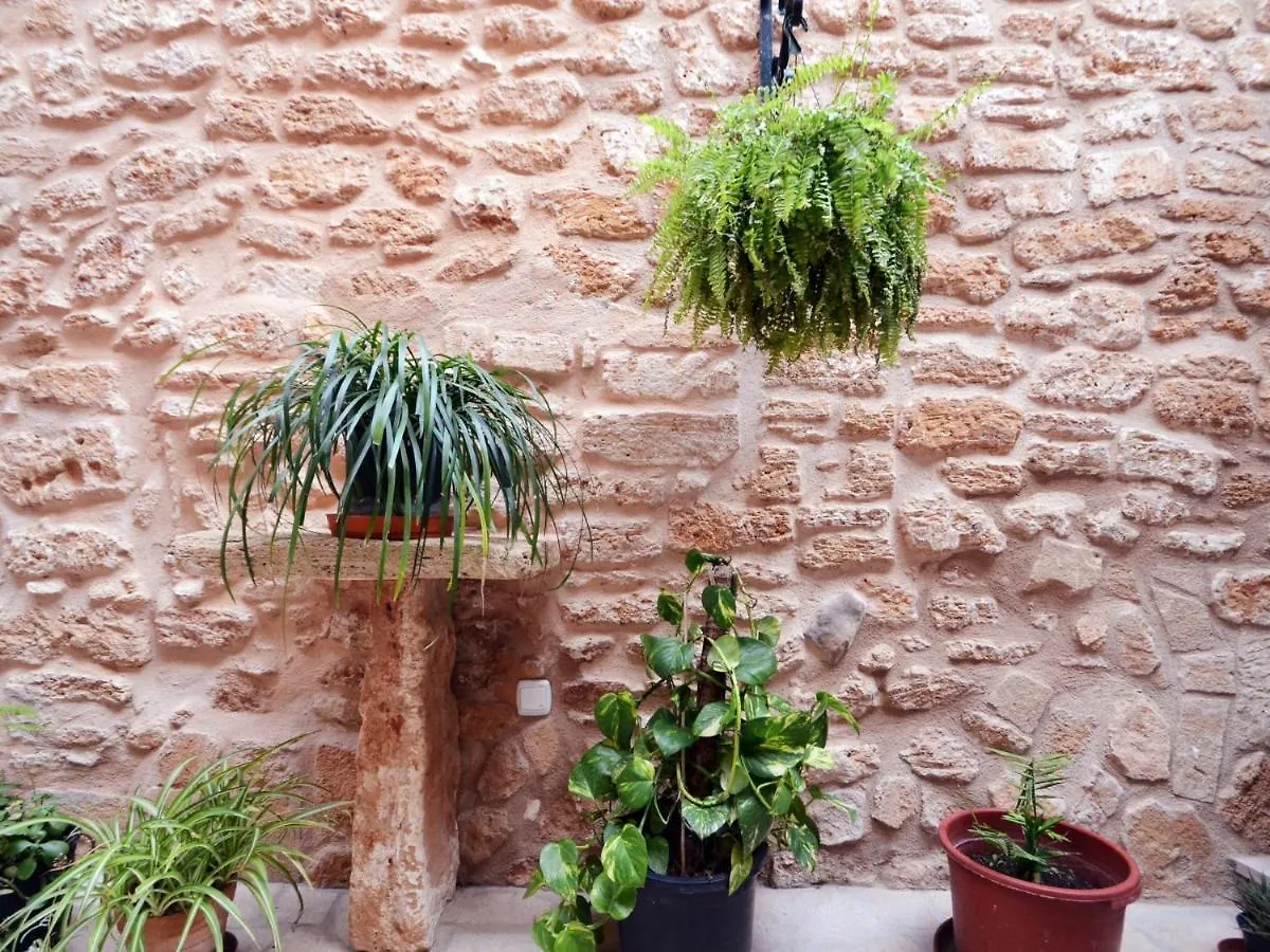 House Ca Na Polida Villa Alcudia  Holiday home