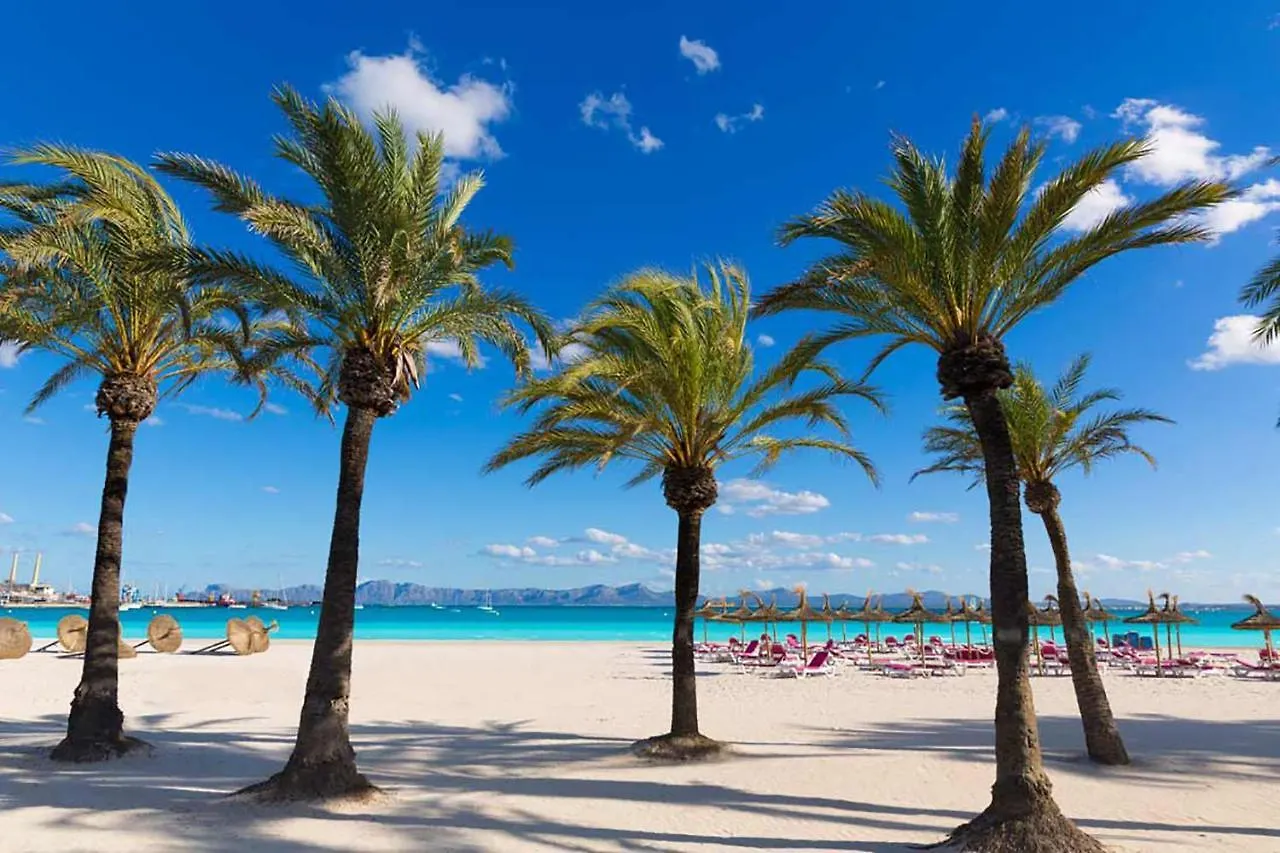 Maison de vacances Ca Na Polida à Alcúdia